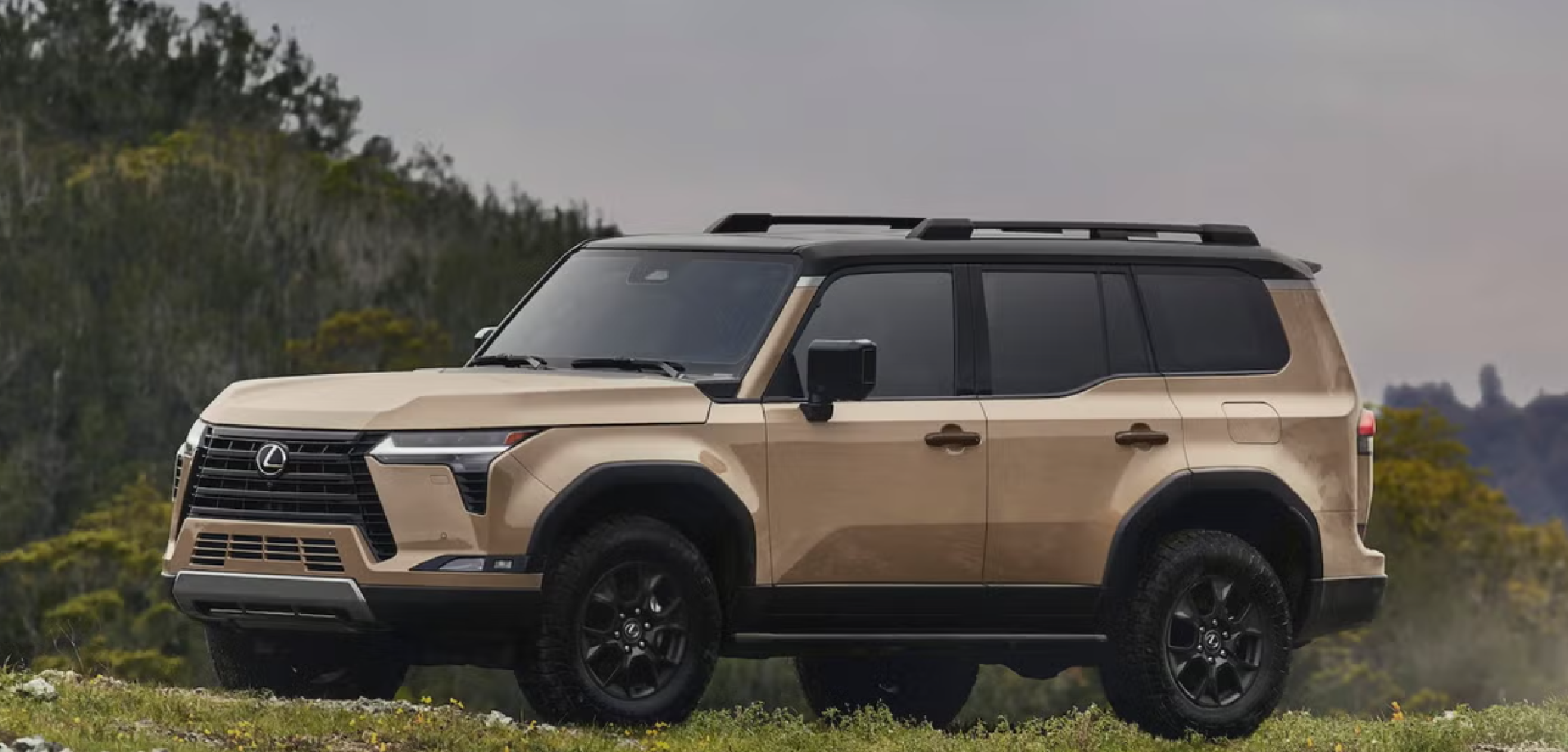2025 Lexus GX
